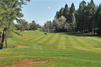 15871 Norlene Way, Grass Valley, CA 95949 photo 11