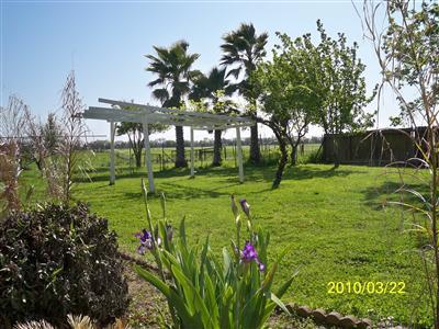 9806 Spring St, Galt, CA 95632 photo 5