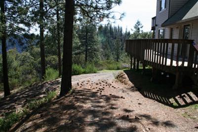 705 P C Ln, Colfax, CA 95713 photo 2