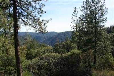 705 P C Ln, Colfax, CA 95713 photo 5