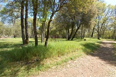 11205 Lime Kiln Rd, Grass Valley, CA 95949 photo 3
