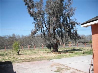 2501 Mountain View Rd, Hughson, CA 95326 photo 8