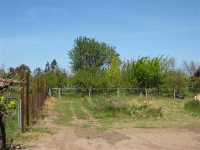 2338 Vivian Rd, Modesto, CA 95358 photo 12