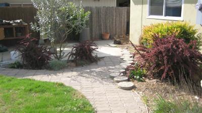 1226 Fordham Ave, Modesto, CA 95350 photo 6
