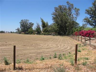2941 Van Clief Rd, Stevinson, CA 95374 photo 9