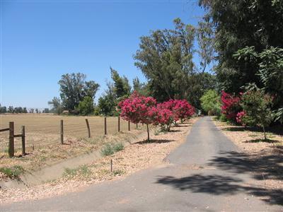 2941 Van Clief Rd, Stevinson, CA 95374 photo 2