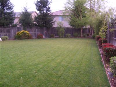 2917 Palliser Ct, Modesto, CA 95355 photo 2