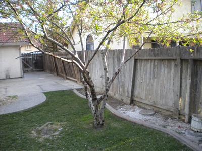 1617 Sungate Dr, Ceres, CA 95307 photo 12