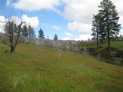 2840 Jacquier Rd, Placerville, CA 95667 photo 3