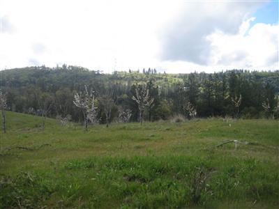 2840 Jacquier Rd, Placerville, CA 95667 photo 6