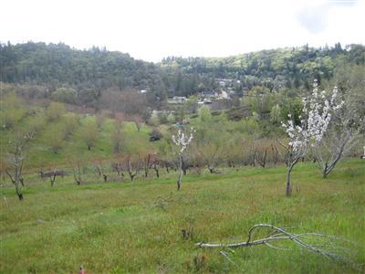 2840 Jacquier Rd, Placerville, CA 95667 photo 4