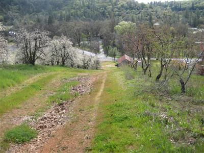 2840 Jacquier Rd, Placerville, CA 95667 photo 7