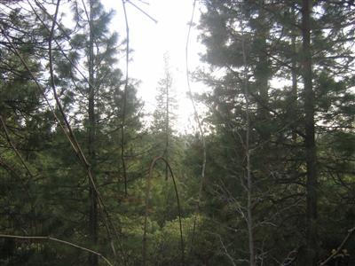 6791 Diablo View Trl, Placerville, CA 95667 photo 4