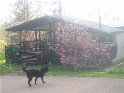 6791 Diablo View Trl, Placerville, CA 95667 photo 5