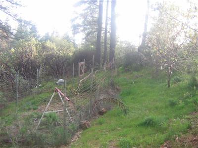 6791 Diablo View Trl, Placerville, CA 95667 photo 6