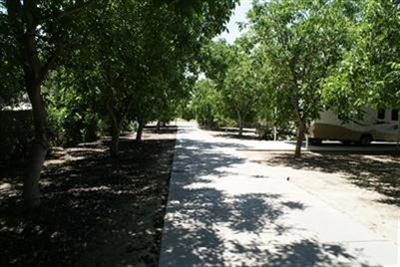 3919 E Service Rd, Ceres, CA 95307 photo 8