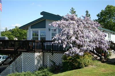 2545 Seeforever Ct, Placerville, CA 95667 photo 2