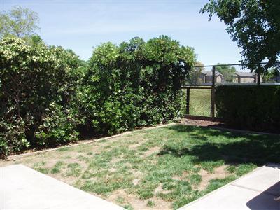 1714 Astoria St, Davis, CA 95616 photo 10