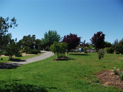 6212 Laird Rd, Loomis, CA 95650 photo 4
