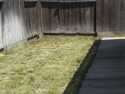 153 Sisco De Asis Ct, Merced, CA 95341 photo 11