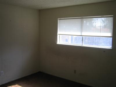 2809 Starling Dr, Ceres, CA 95307 photo 6