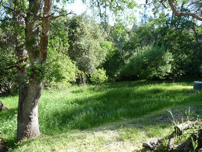 1126 Harris Rd, Placerville, CA 95667 photo 7