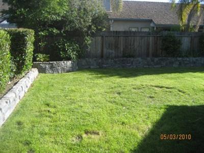 874 Cinnamon Teal Ct, Manteca, CA 95337 photo 4