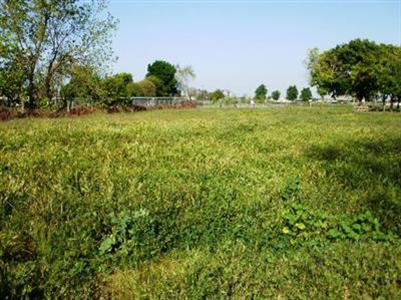 508 Bothun Rd, Turlock, CA 95380 photo 4