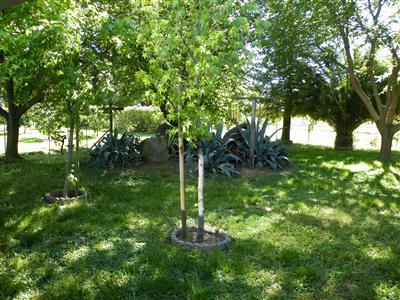 2025 Sisley Rd, Penryn, CA 95663 photo 4