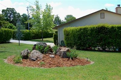 2624 Paymaster Trl, Cool, CA 95614 photo 8