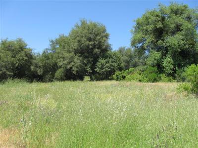 2900 Taylor Rd, Loomis, CA 95650 photo 10
