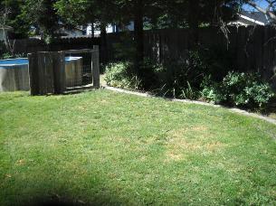 8295 Cypress St, Hilmar, CA 95324 photo 9