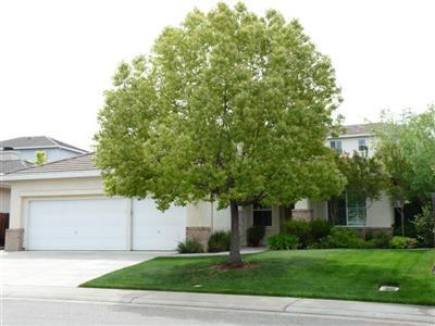 489 Hall St, Folsom, CA 95630 photo 1
