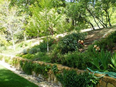 3080 Gingham Ct, Placerville, CA 95667 photo 17