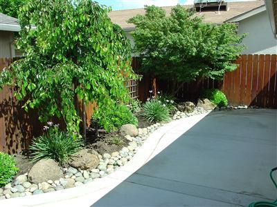 203 Rainier Dr, Lodi, CA 95242 photo 11