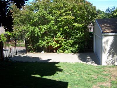 3904 Hollister Ave, Carmichael, CA 95608 photo 11