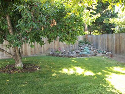 1123 Orchid Ave, Modesto, CA 95355 photo 6