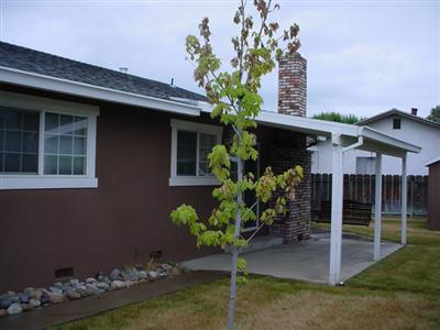 2600 Adrian St, Turlock, CA 95382 photo 10