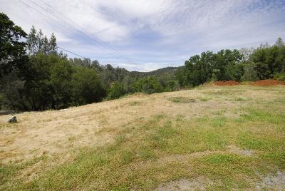 1961 Lotus Rd, Placerville, CA 95667 photo 12