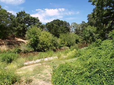 3330 Wycliffe Dr, Modesto, CA 95355 photo 24
