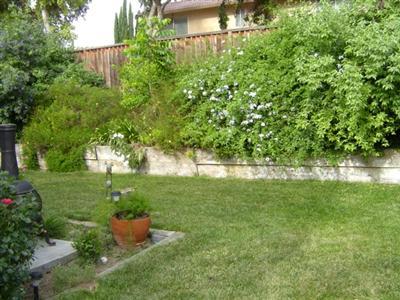 3490 Castle Ct, Tracy, CA 95376 photo 12