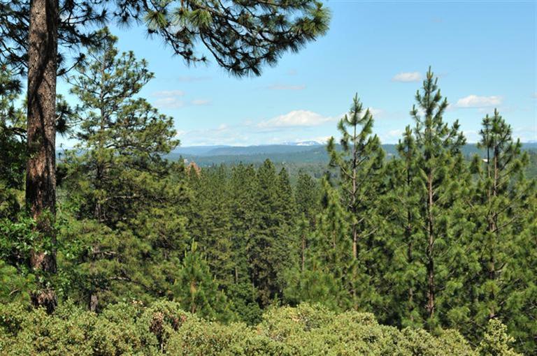 16986 Hangtree Rd, Grass Valley, CA 95949 photo 23