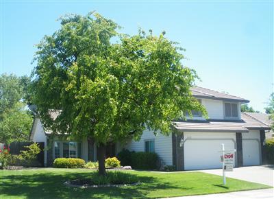 4617 Mountaingate Dr, Rocklin, CA 95765 photo 1