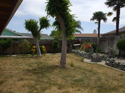 1008 Dezzani Ln, Modesto, CA 95358 photo 5