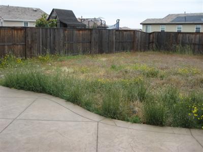 1675 Abilene Cir, Rocklin, CA 95765 photo 5
