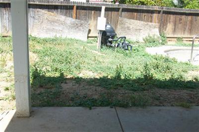 448 Red Robin Dr, Patterson, CA 95363 photo 9