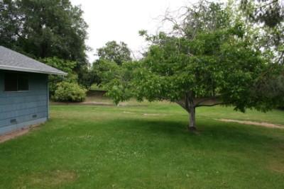7880 Olive St, Fair Oaks, CA 95628 photo 3