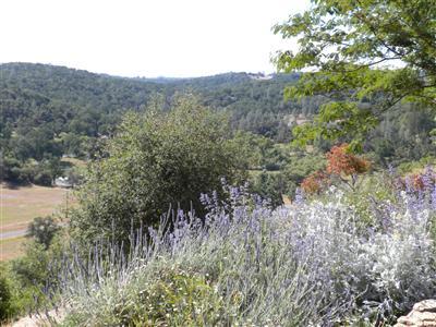 5572 Oak Ridge Rd, Placerville, CA 95667 photo 12
