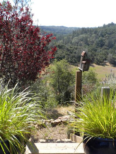 5572 Oak Ridge Rd, Placerville, CA 95667 photo 13