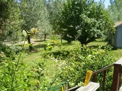 200 E Weimar Cross Rd, Colfax, CA 95713 photo 9